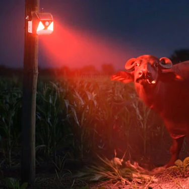 2 In 1 Solar Light With Animal Repellent Light  (LL21) - Image 5