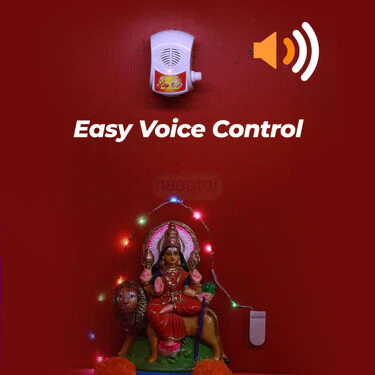 35 In 1 Mantra With Mandir Decorative light (MD14) - Image 4