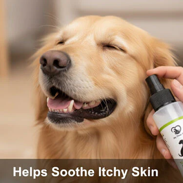 Anti-Tick & Flea Spray For Pets (PET1) - Image 4