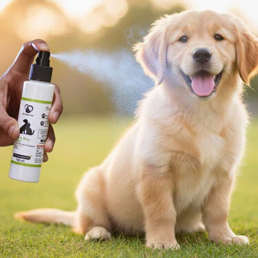 Anti-Tick & Flea Spray For Pets (PET1) - Image 5