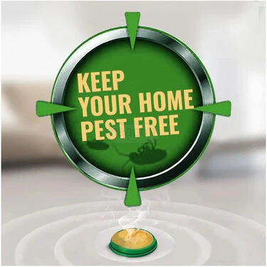 Cockroach Killer Gel Pads Pack of 12 (CKGPP2) - Image 6