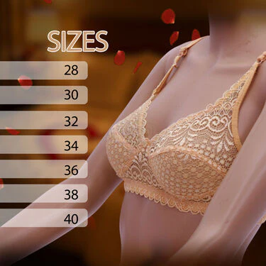 Designer Lacey Honeymoon Bra Buy 2 Get 2 Free (4PBR1) - Image 3