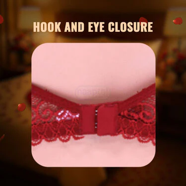 Designer Lacey Honeymoon Bra Buy 2 Get 2 Free (4PBR1) - Image 7