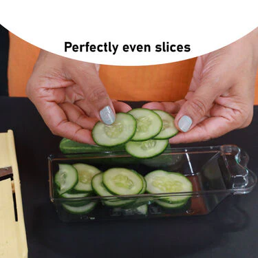 Dry Fruit Slicer (DFS2) - Image 3