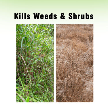 Herbicide Weed Killer Granules - Image 4