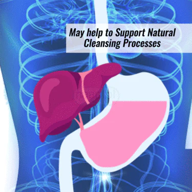 Liver Detox Wellness Drink B1G1 ( NUTRA5) - Image 4