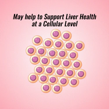 Liver Detox Wellness Drink B1G1 ( NUTRA5) - Image 5