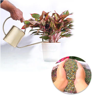 Pack Of Mix Flower Seeds (PFS100) - Image 5