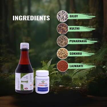 Pathari Nashak Combo (NUTRA1) - Image 3