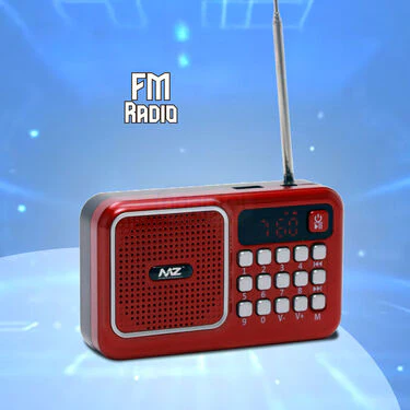 Rechargeable Radio With Bluetooth And Power Bank Function (BLS4) - Image 4