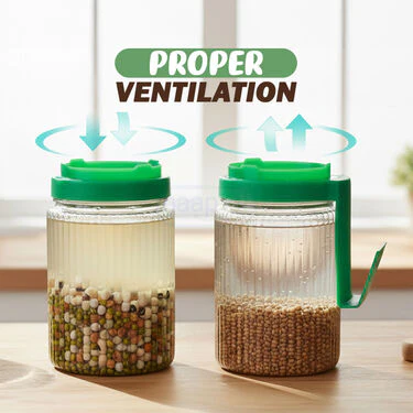 Sprouts Maker Jar - Buy 1 Get 1 (2SMJ1) - Image 5