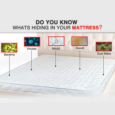 Water Proof Double Mattress Protector Sheet with 2 Pillow Protector Free (DMP8) - Image 5