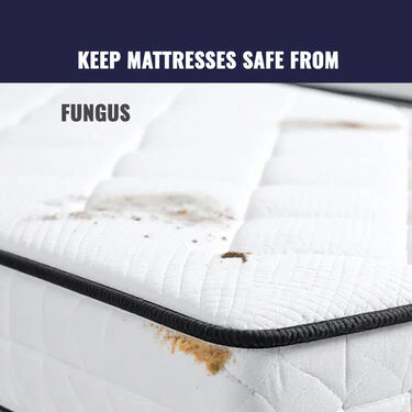 Water Proof Printed Double Bed Mattress Protector Sheet (DMP10) - Image 9